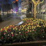 City B&B Cochem Oda ve Kahvaltı