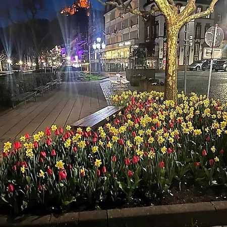 ベッド・アンド・ブレックファスト City B&B Cochem 3*